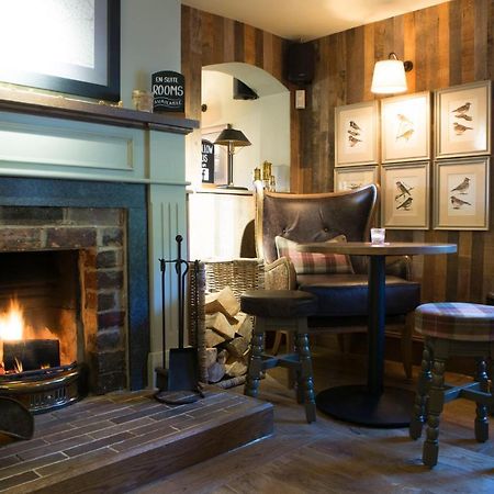 Red Lion Inn Little Budworth Extérieur photo